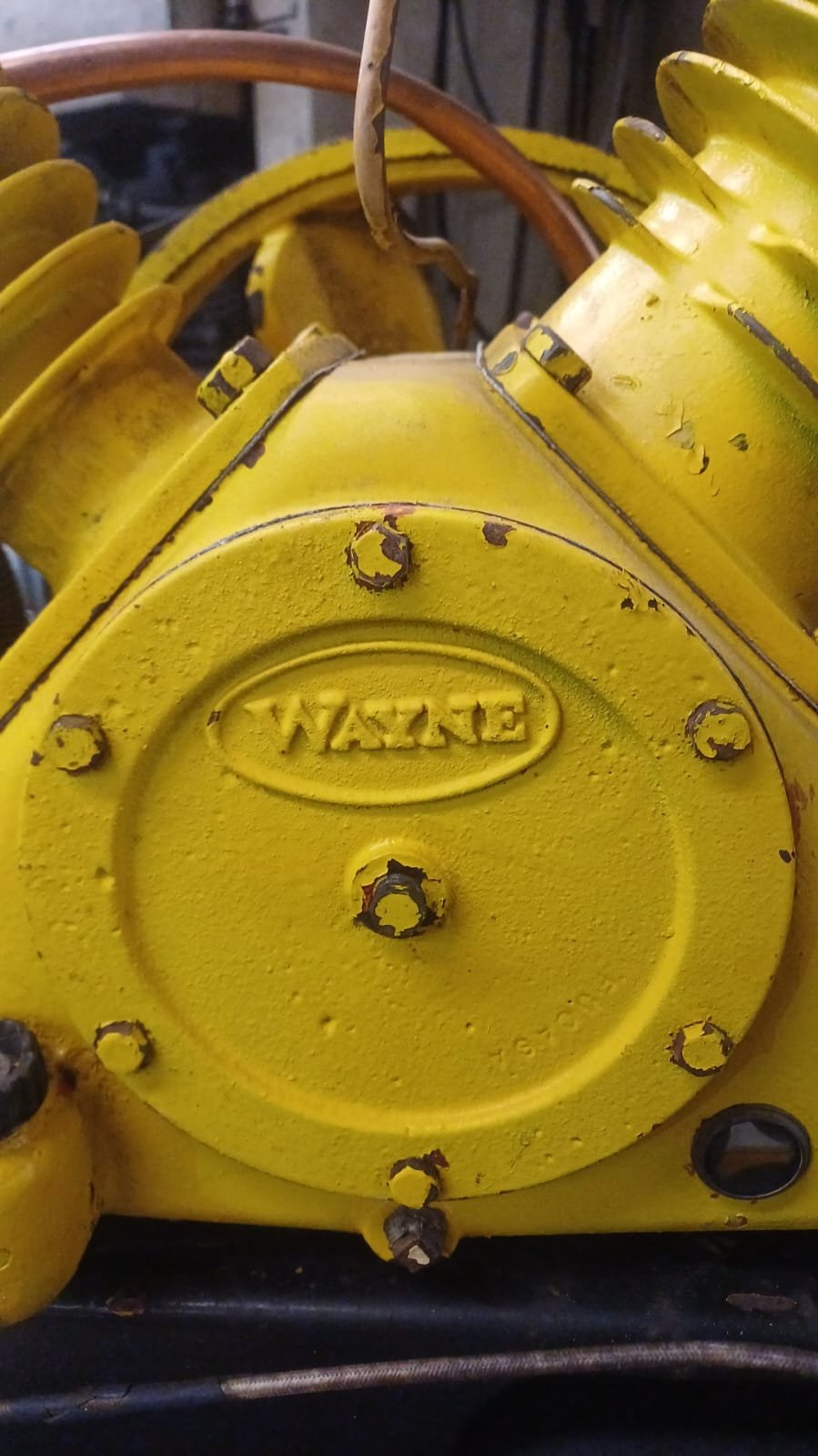 WhatsApp Image 2026-02-06 at 09.11.20