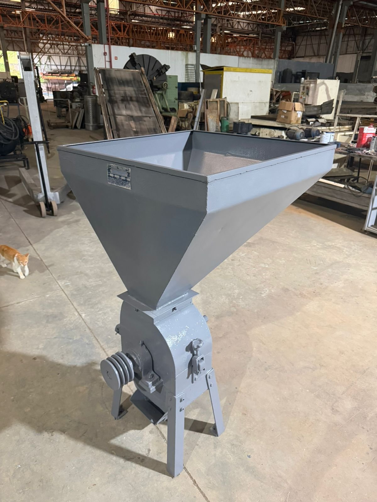 WhatsApp Image 2026-02-06 at 06.22.44