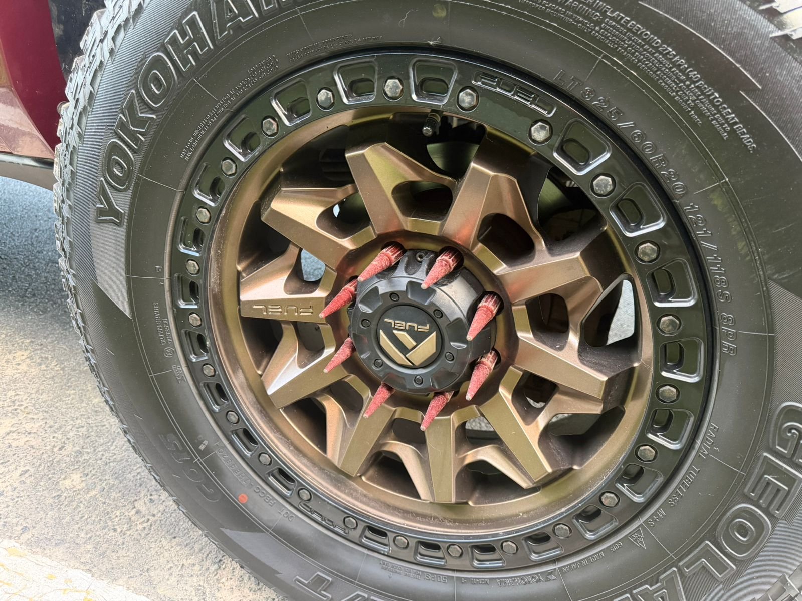 WhatsApp Image 2026-02-13 at 06.27.51 (1)